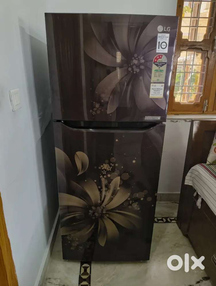 260 lt lg double door refrigerator