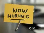 Hiring freshers and experience