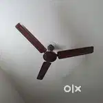 Used Ceiling Fan in Good Condition