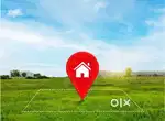 8 bigha Agreeculture land at badodiya 17km from Chittorgarh