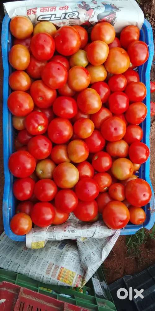 COIMBATORE LOCAL DELIVERY