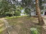 Aluva paravoor kavala 5cent land for sale