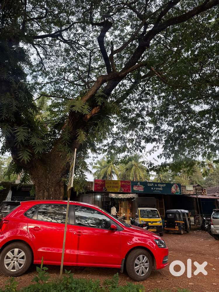 Land and 12 shops for sale