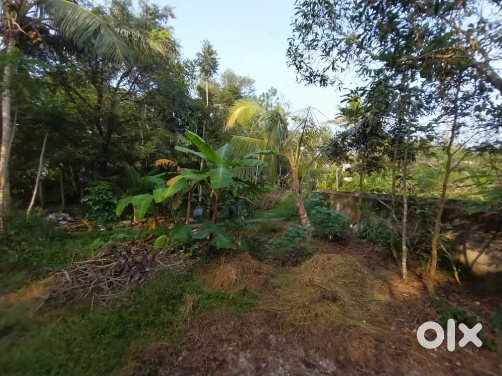 7 Cent plot for sale,bank,gym,shops,temple within 500m