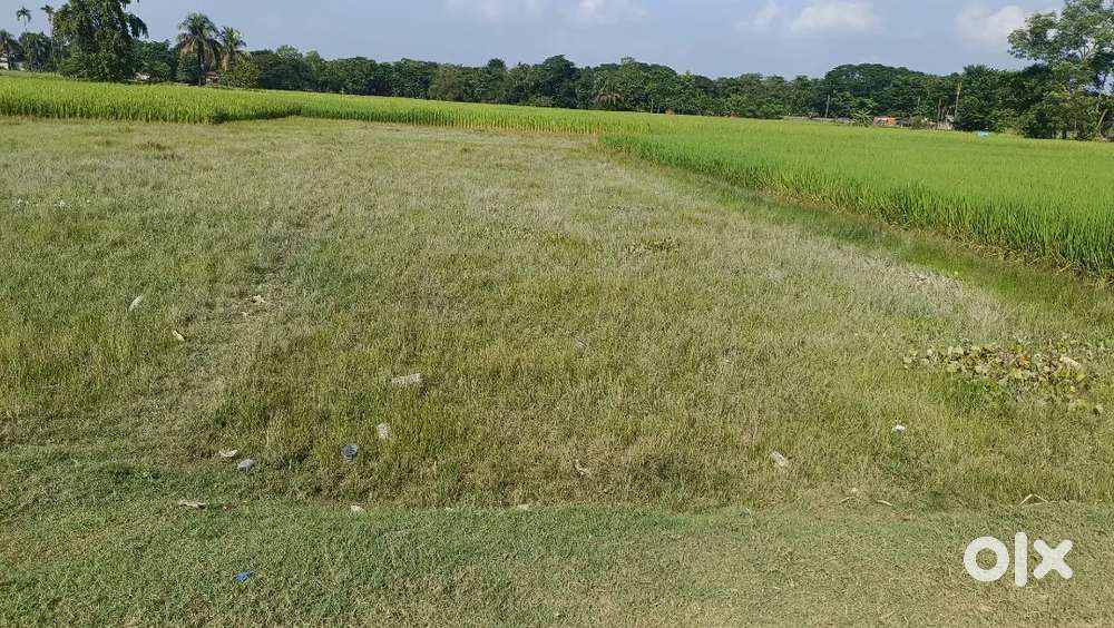 Land for sale