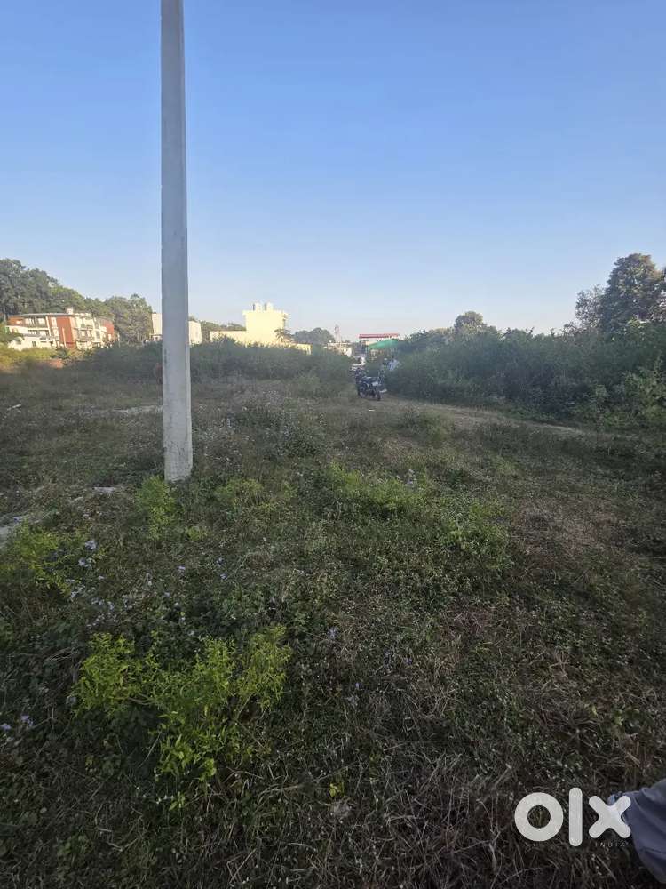 Kandoli near U.P.E.S COLLEGE