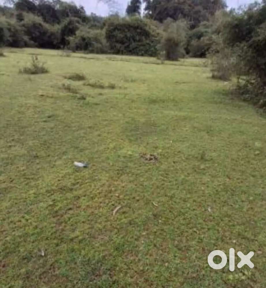 Commercial plot for sale.