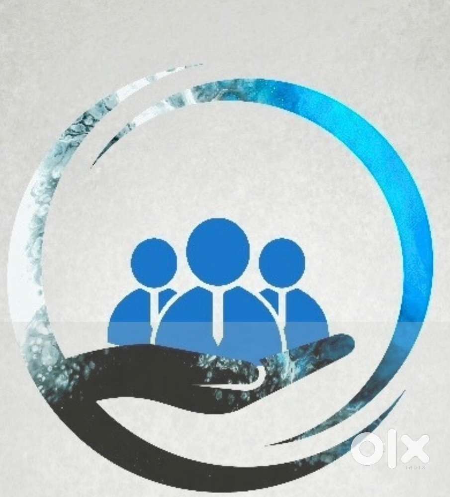 Data Entry Executive (Fresher)