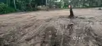 10 cent sq plot 4 sale n pathirapally near f pattukukalam temple