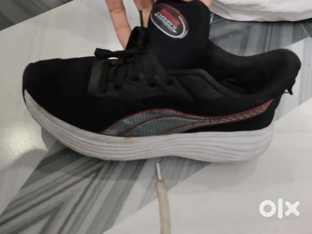 Original Sports shoes