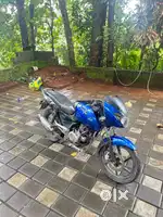 Pulsar for sale