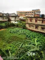 4kathas plot of land at Rongpur, Silchar for sale