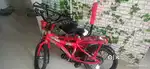 Kids Bicycle for Sale