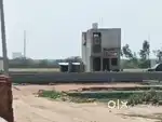 Sector 143