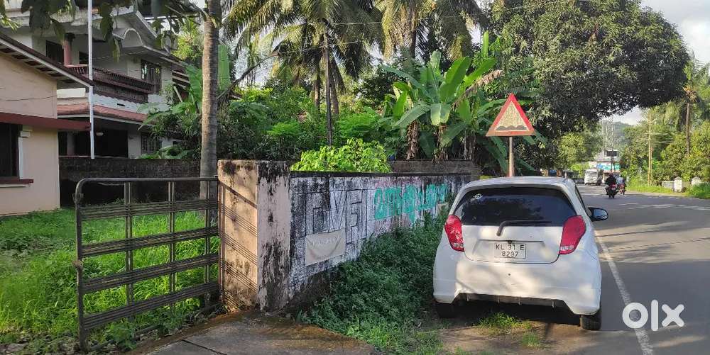 തൃശൂർ - ഷൊർണുർ സംസ്ഥാനപാതയിൽ റെയിൽവേ സ്റ്റേഷൻന് സമീപം കമർഷ്യൽ പ്ലോട്ട്