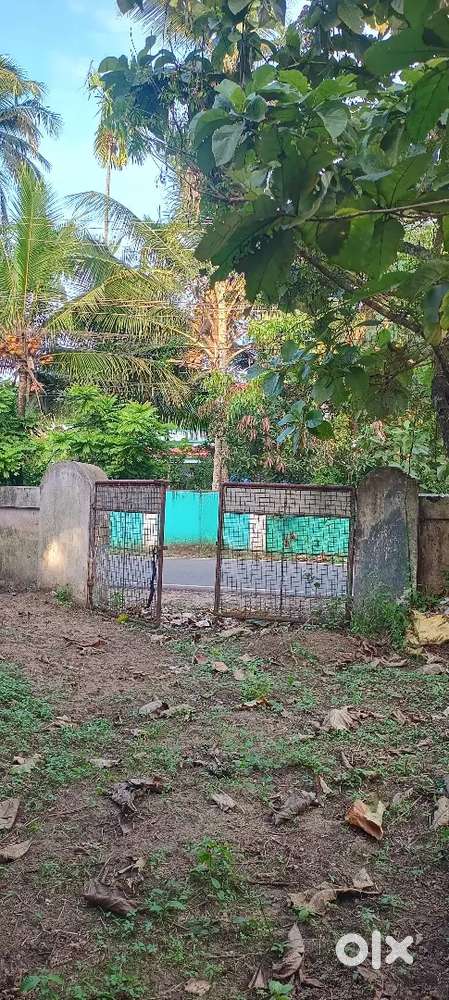 Land Vaikom 7 cent pattassery