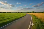 Road touch plot