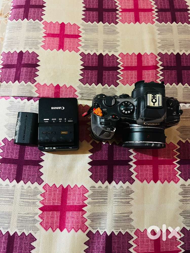 Canon eos r6