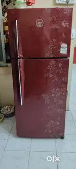 Godrej double door