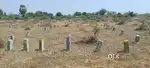 9 lakh Total Budget,Negotiable,120 Sq Yards Open plot for sale