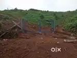 Kambiveli, slab mathil, net veli