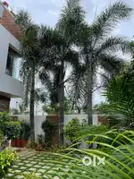 Bungalow with open Garden