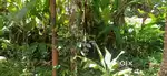 22 Cent plot for sale @ Chevayur
