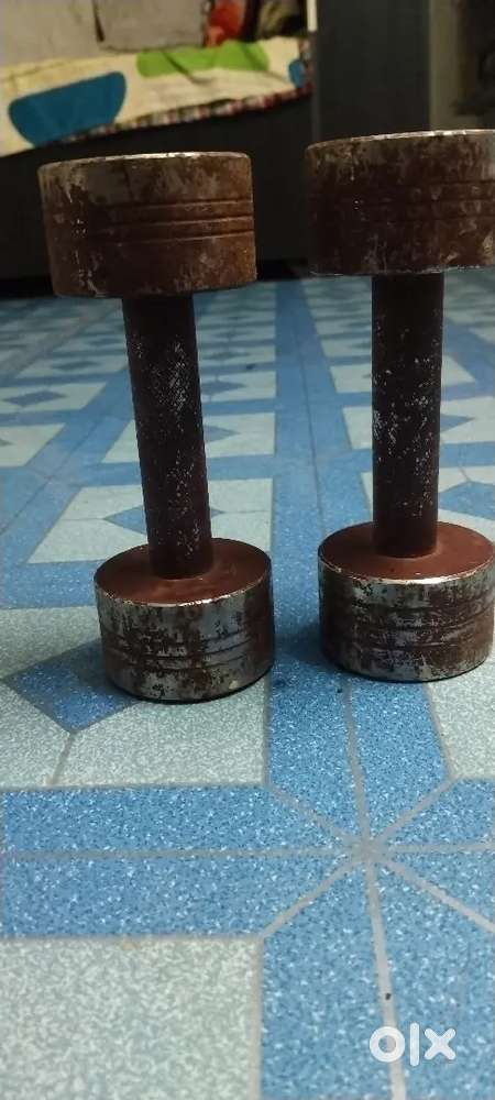 4 4 kg dumbbells
