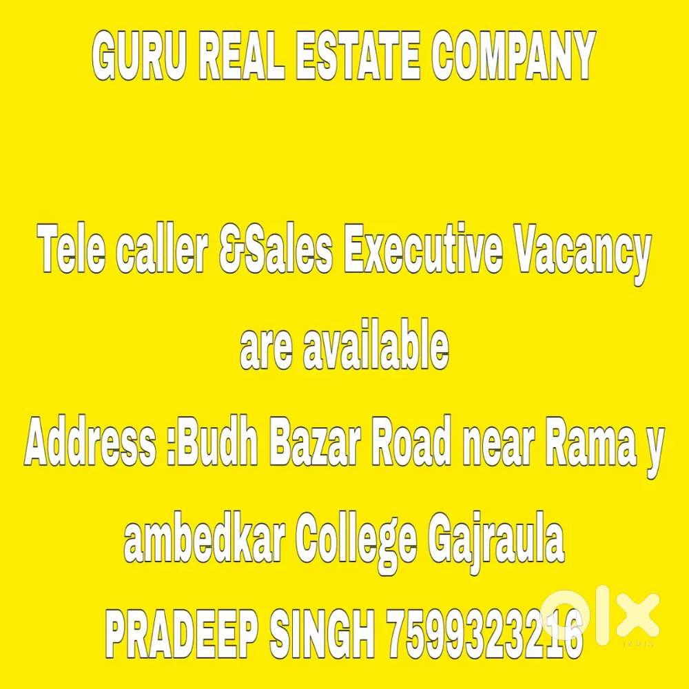 Guru Real Estate Company