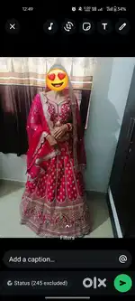 Bridal designer choli
