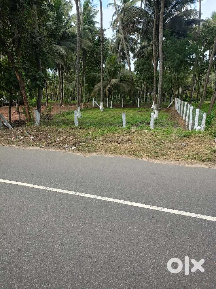 8 cent plot for sale