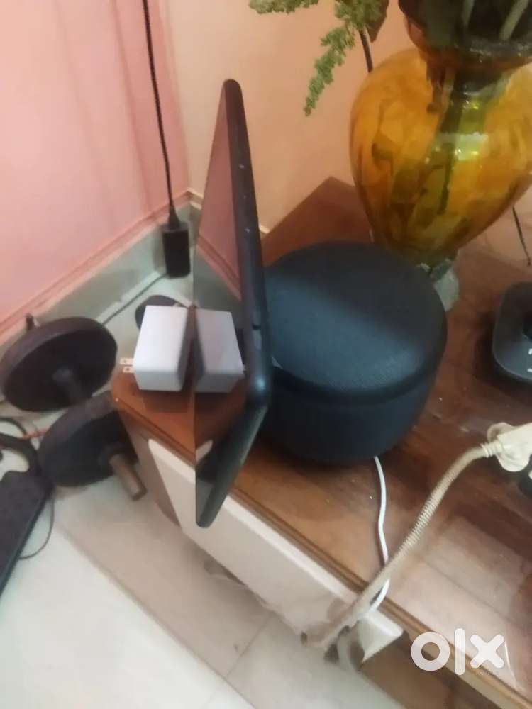 Alexa echo show loud speaker