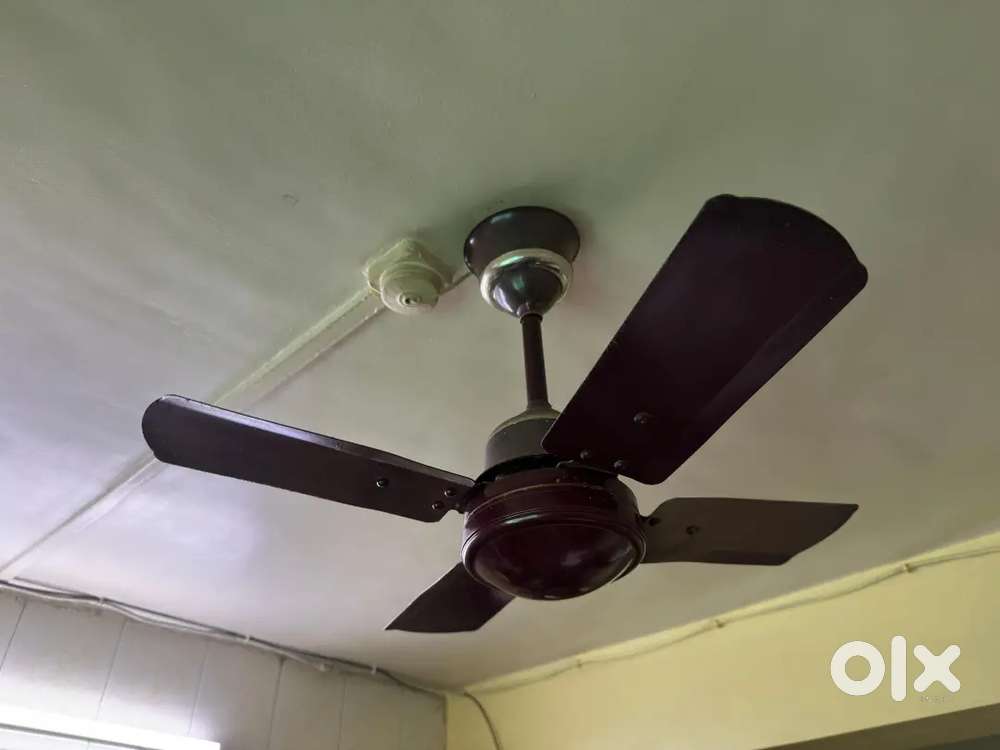 Kitchen ceiling fan of Cromptot Greves make in working condition