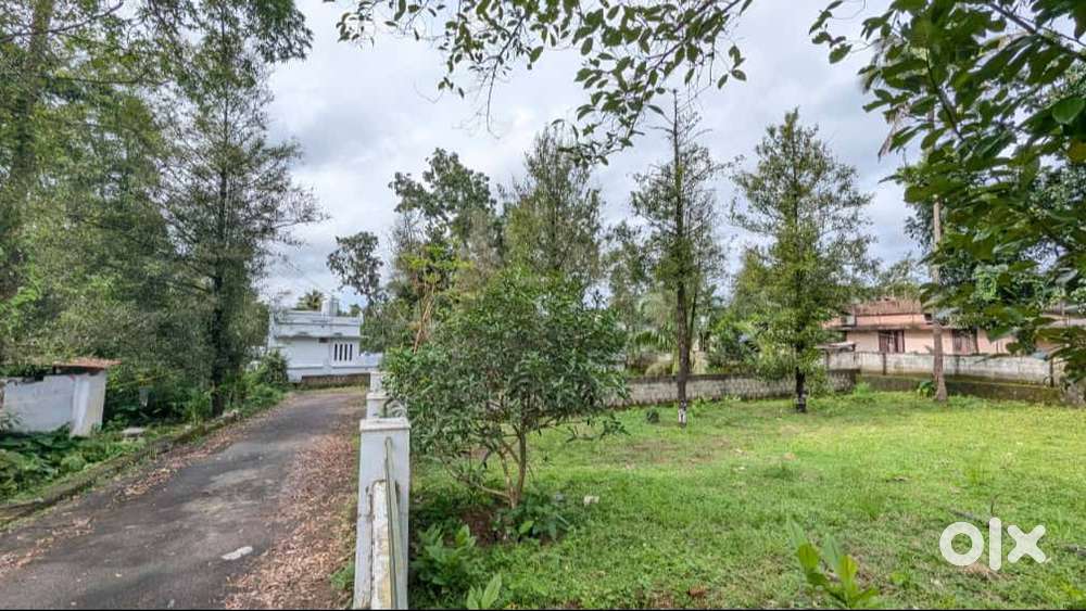 Angamaly Puliyanam St Antony’s Church Near House Plot-90%Loan-Free Reg