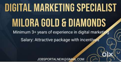 Digital Marketing Executive