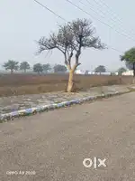 Farm house / plot for sale 50 marlas in just 2.75 lac per Marla 66 ft