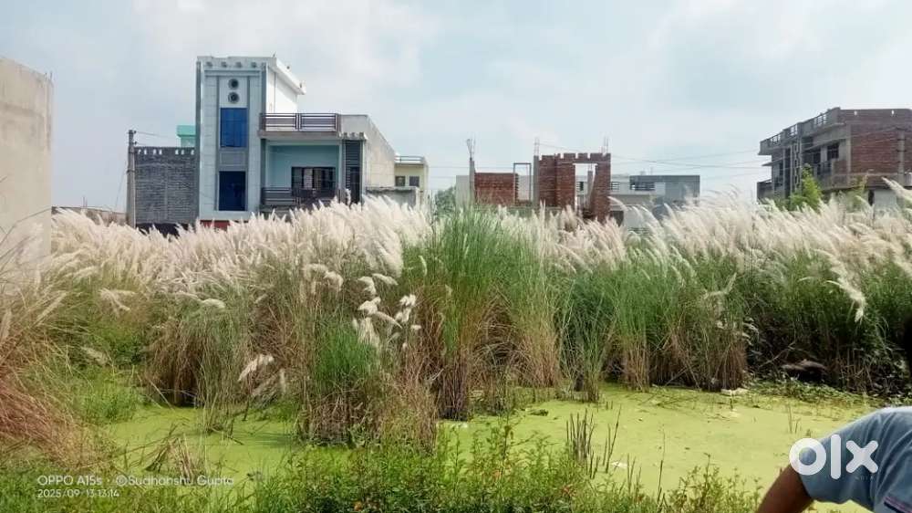 Kichha near surajmal college