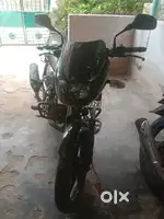 Pulsar 2024 augest