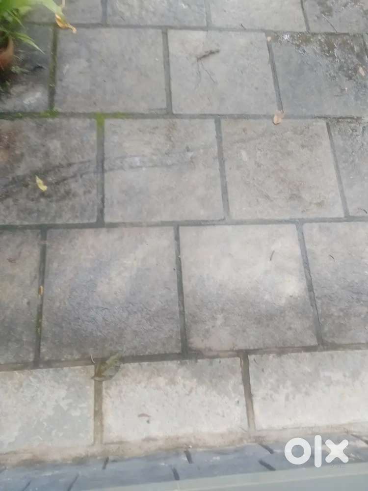 Plot for sale(9.49 cents)