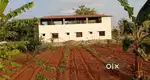 At Gouribidnur Highway developed MANAGED FARM land for sale