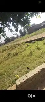 3 rasto ka pilot h jhalu m goldan place k piche