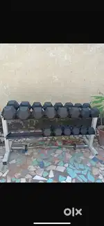 Gym equipment