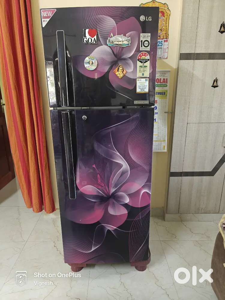 LG 280L Smart Double Door Refrigerator