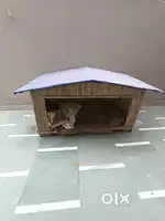 Dog house 5 ft X 2.5 ft X 2.5 ft