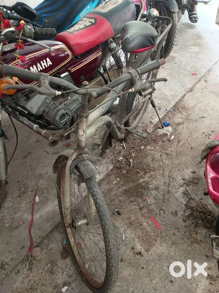 Hercules Cycle