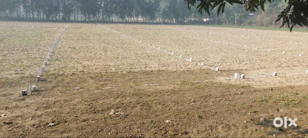 Plots for sale...बेहतरीन लोकेशन, सीमित प्लॉट। चूकिए मत!