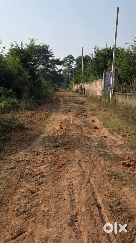 Immediate Registry Possession