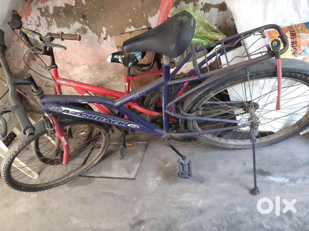 By cycle  old