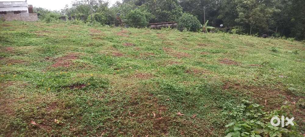 85 cent Land for sale paruthipalli , panniyodu kattakada