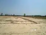 PLOTS NEAR DERA BASSI